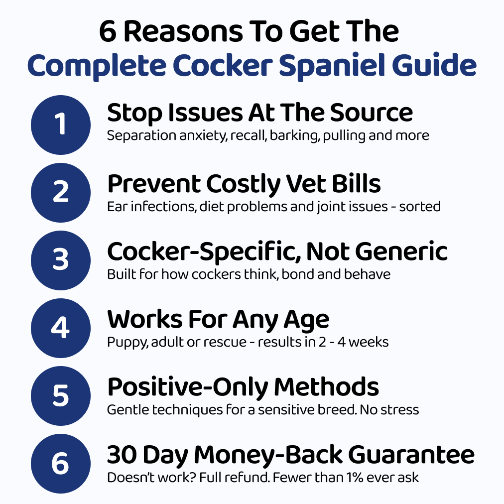 The Complete Cocker Spaniel Guide | Trusted by 1,000+ Owners