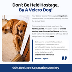 The Complete Cocker Spaniel Guide | Trusted by 1,000+ Owners