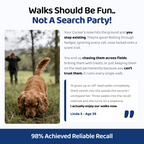 The Complete Cocker Spaniel Guide | Trusted by 1,000+ Owners