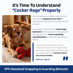 The Complete Cocker Spaniel Guide | Trusted by 1,000+ Owners